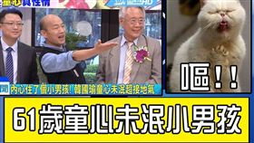 凌友詩,韓國瑜,鄭世維　圖／翻攝自只是堵藍臉書