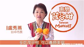 盧秀燕推廣東勢茂谷柑／中市府提供
