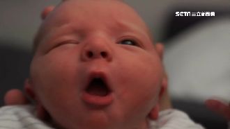 國外借種生混血兒　美、加費用曝光