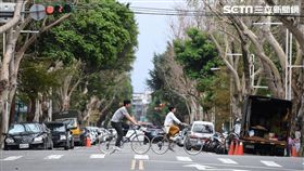 tokyobike Tawain,討喜生活單車,單車,台北市,tokyobike
