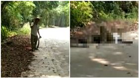 抓眼鏡王蛇「握頭踩尾」！男慘被咬亡（圖／翻攝自微博）