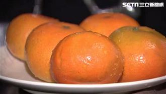 竹縣促銷柑橘　農糧署：研議外銷可能