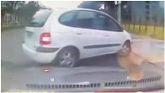 插隊車被喇叭攻擊　網見影片：超療癒