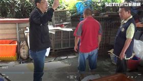 彰化水鹿疑遭獵殺／翻攝畫面