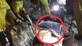 水泥封屍,泰國,修車師傅,失蹤,離奇,老闆
https://www.facebook.com/271815040351882/photos/pcb.321325145400871/321324942067558/?type=3&theater