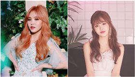 ▲合成圖。（圖／翻攝自臉書）