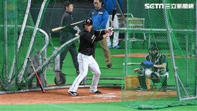 ▲王柏融打擊練習。（圖／記者王怡翔攝影）