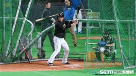 ▲王柏融打擊練習。（圖／記者王怡翔攝影）