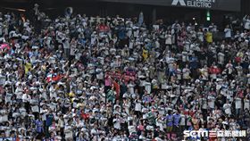 札幌巨蛋看台上有球迷揮舞中華民國國旗幫王柏融加油。（圖／記者王怡翔攝影）