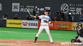 ▲王柏融在札幌巨蛋首次出賽。（圖／記者王怡翔攝影）