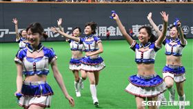 ▲日本火腿啦啦隊FIGHTERS GIRL。（圖／記者王怡翔攝影）