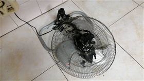 高雄,高雄市政府,火警,韓國瑜,電風扇,短路（圖／翻攝畫面）