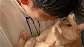 「哼！再過來就巴蕊喔」帥爸想吸貓…下一秒狠遭賞巴掌（圖／翻攝自Instagram＠myuuuuchan_1116）