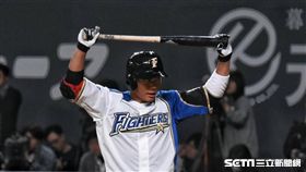 ▲日本火腿台灣選手王柏融走進打擊區。（圖／記者王怡翔攝影）