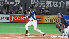 ▲王柏融在打擊區。（圖／記者王怡翔攝影）