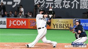 ▲中田翔再度擊出關鍵安打。（圖／記者王怡翔攝影）