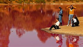 粉紅,澳洲,湖泊,墨爾本,遊客,刺激,β胡蘿蔔素,藻類,鹽　圖／翻攝自推特　