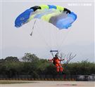 108年「國防知性之旅—龍翔營區開放」神龍小組高難度花式高空跳傘。（記者邱榮吉/新社拍攝）