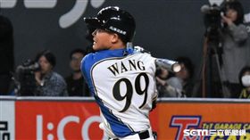 日本火腿王柏融。（圖／記者王怡翔攝影）