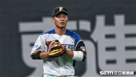 ▲王柏融守備。（圖／記者王怡翔攝影）