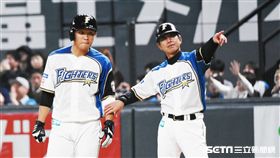 ▲王柏融擊出適時安打送回日職生涯首分打點。（圖／記者王怡翔攝影）