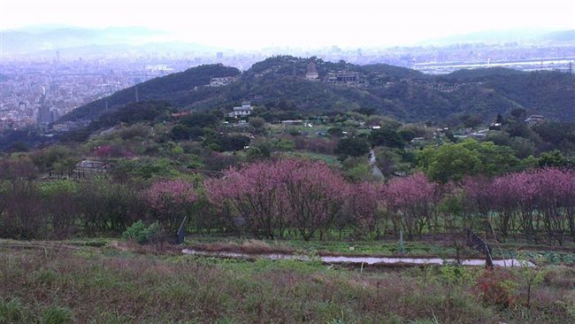 明溫度回升降雨緩　清明2鋒面接力襲