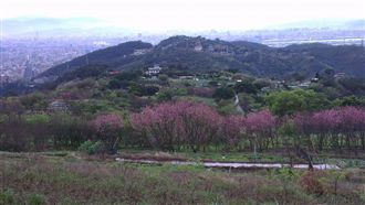 明溫度回升降雨緩　清明2鋒面接力襲