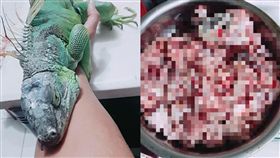 捕獲野生綠鬣蜥！「蒜頭湯+蒜蓉豆腐乳」2道料理上桌…網：三杯更好吃（圖／廚藝公社）