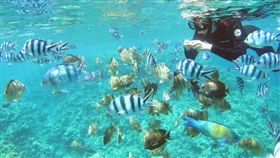 （圖／Tripbaa趣吧！亞洲自由行專家）