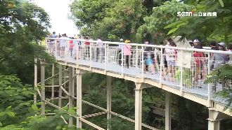春遊補助亂房價！旅遊業轟調漲逾兩成