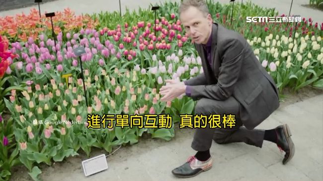 應景愚人節！谷歌推「鬱金香陪聊天」