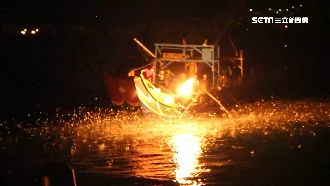 全球唯一捕撈技術　金山蹦火仔恐失傳