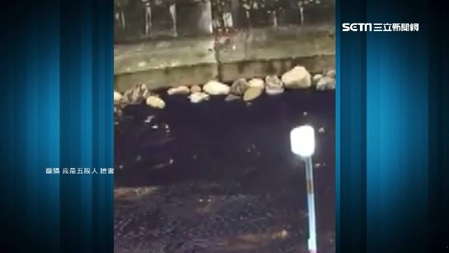 五股坑溪整條紫　居民：各顏色都看過