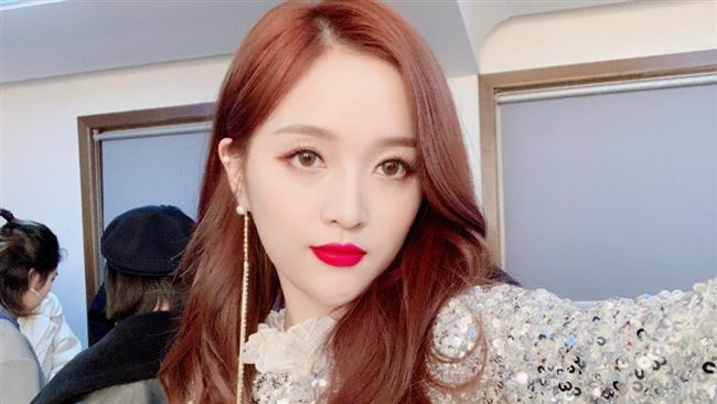 行李遭狂粉偷走！吳宣儀急壞發文狂找