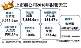 年報大解碼評選七天王　台積電獲利王、宏達電登轉機王