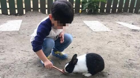 她想拚女兒卻夢見他　神奇胎夢網哭了