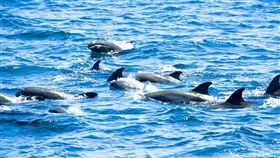 （圖／Tripbaa趣吧！亞洲自由行專家）