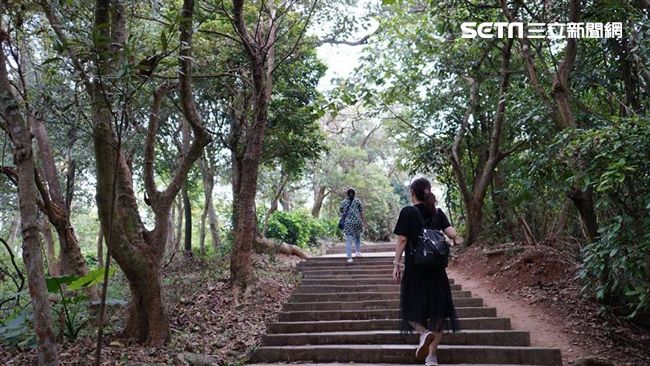 清明期間水瓶、天蠍、牡羊、金牛等7個星座者，擁有較強的旺運，可把能量放在自己身上用於提升。（示意圖／資料照）