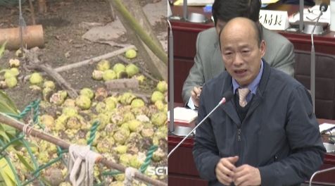 芭樂慘跌遭棄大圳？高雄農業局這樣說