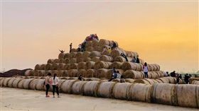 巨型捲心酥
金億陽蘑菇農場-稻草捲心酥打卡地臉書