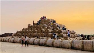 雲林稻草捲心酥不開了！原因竟被檢舉