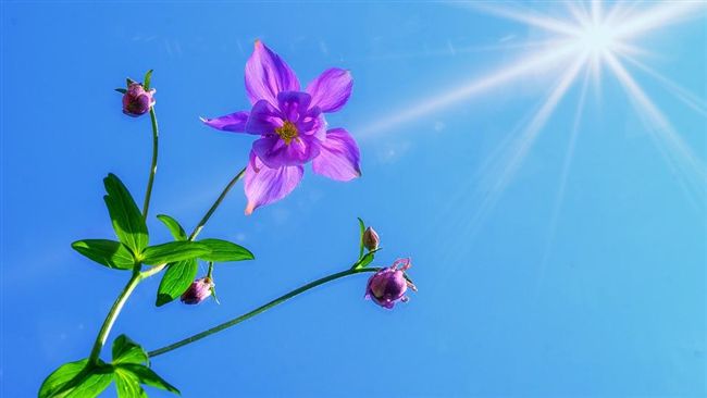 迅速擺脫汗臭？這樣做才「治本」