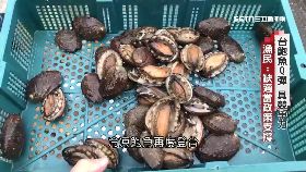 (透視)鮑魚科技戰