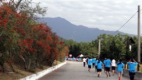 台東池上大橋下數十棵的火刺木（左），果實成熟時成為小鳥覓食的樂園，近日有民眾發現被砍除。（翻攝網路）中央社記者盧太城台東傳真 108年4月2日