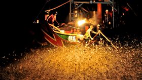 外傳金山蹦火船因連年虧損今年傾向不出海，「蹦火仔」捕魚恐成絕響。對此，新北市府漁業處表示，新北市共有4艘蹦火漁船，其中3艘將在5月時視天候狀況出海確認漁汛。（新北市政府提供）中央社記者王朝鈺傳真　108年4月1日