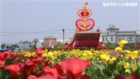 2019桃園彩色海芋季,桃園,兒童節,清明連假,彩色海芋,桃園彩色海芋季