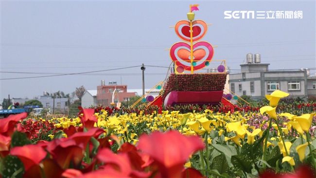 超好拍！清明連假必衝桃園彩色海芋季