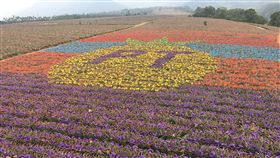 屏東縣政府與高樹鄉銀獅農場春假期間合辦「繽紛彩旺節」，農場利用鳳梨遮陽帽彩繪鳳梨田，為屏東的沿山公路增加鳳梨觀光地景藝術。中央社記者郭芷瑄攝　108年4月1日