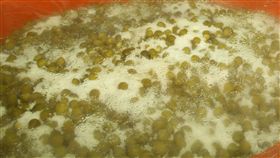 台南市梅嶺風景區一帶出產的青梅正進入產季，受暖冬及乾旱影響，預計產量減少，遊客可把握產季上山一遊，品嘗脆梅等副產品及梅子特色料理。圖為加工廠製作脆梅。（資料照片）中央社記者楊思瑞攝 108年4月1日