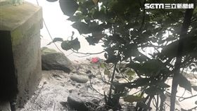 台北市大稻埕碼頭發現一具浮屍（讀者提供）